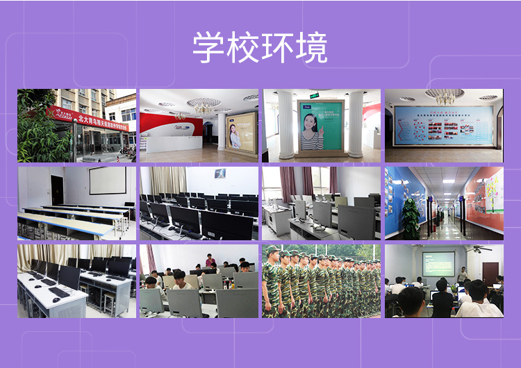 郑州北大青鸟翔天信鸽校园环境及学员活动展示